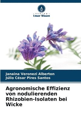 bokomslag Agronomische Effizienz von nodulierenden Rhizobien-Isolaten bei Wicke