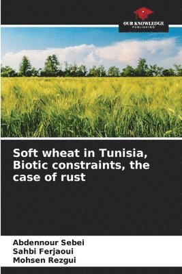 Soft wheat in Tunisia, Biotic constraints, the case of rust 1