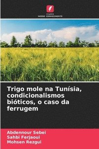 bokomslag Trigo mole na Tunsia, condicionalismos biticos, o caso da ferrugem