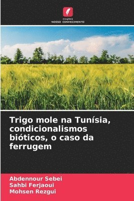 Trigo mole na Tunsia, condicionalismos biticos, o caso da ferrugem 1