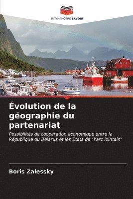 bokomslag volution de la gographie du partenariat