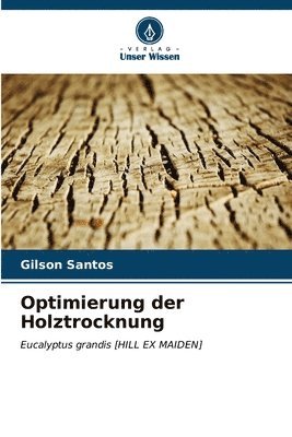 bokomslag Optimierung der Holztrocknung