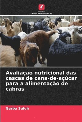 bokomslag Avaliao nutricional das cascas de cana-de-acar para a alimentao de cabras