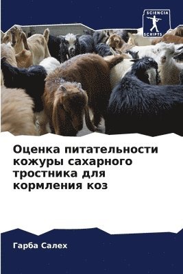 &#1054;&#1094;&#1077;&#1085;&#1082;&#1072; &#1087;&#1080;&#1090;&#1072;&#1090;&#1077;&#1083;&#1100;&#1085;&#1086;&#1089;&#1090;&#1080; &#1082;&#1086;&#1078;&#1091;&#1088;&#1099; 1