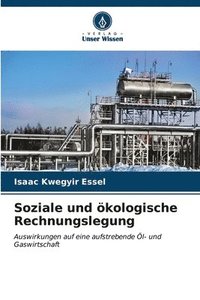 bokomslag Soziale und kologische Rechnungslegung