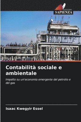 bokomslag Contabilit sociale e ambientale