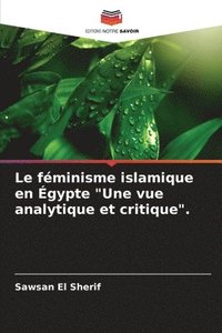 bokomslag Le fminisme islamique en gypte &quot;Une vue analytique et critique&quot;.