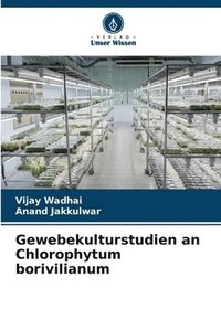 bokomslag Gewebekulturstudien an Chlorophytum borivilianum