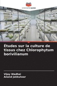 bokomslag tudes sur la culture de tissus chez Chlorophytum borivilianum