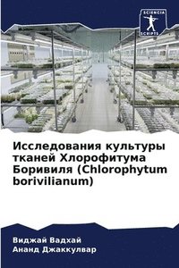 bokomslag &#1048;&#1089;&#1089;&#1083;&#1077;&#1076;&#1086;&#1074;&#1072;&#1085;&#1080;&#1103; &#1082;&#1091;&#1083;&#1100;&#1090;&#1091;&#1088;&#1099; &#1090;&#1082;&#1072;&#1085;&#1077;&#1081;