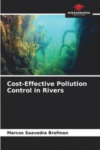 bokomslag Cost-Effective Pollution Control in Rivers