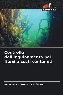 bokomslag Controllo dell'inquinamento nei fiumi a costi contenuti