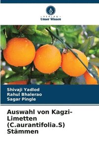 bokomslag Auswahl von Kagzi-Limetten (C.aurantifolia.S) Stmmen