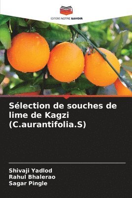 Slection de souches de lime de Kagzi (C.aurantifolia.S) 1
