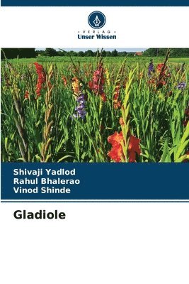 bokomslag Gladiole