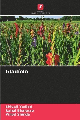 Gladolo 1