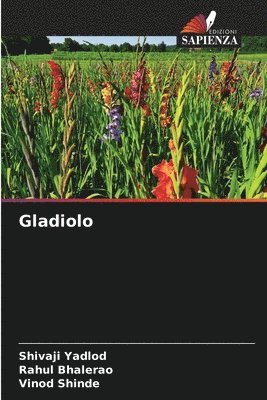 Gladiolo 1