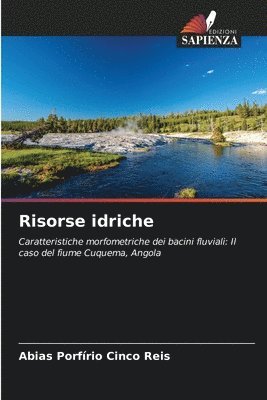 bokomslag Risorse idriche