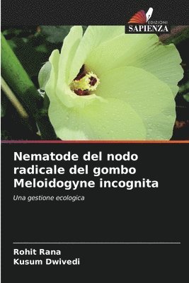 Nematode del nodo radicale del gombo Meloidogyne incognita 1