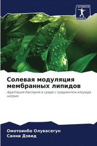 bokomslag &#1057;&#1086;&#1083;&#1077;&#1074;&#1072;&#1103; &#1084;&#1086;&#1076;&#1091;&#1083;&#1103;&#1094;&#1080;&#1103; &#1084;&#1077;&#1084;&#1073;&#1088;&#1072;&#1085;&#1085;&#1099;&#1093;