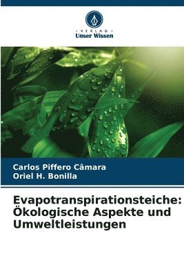 Evapotranspirationsteiche 1