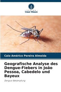 bokomslag Geografische Analyse des Dengue-Fiebers in Joo Pessoa, Cabedelo und Bayeux