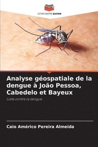 bokomslag Analyse gospatiale de la dengue  Joo Pessoa, Cabedelo et Bayeux