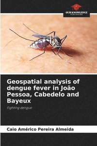 bokomslag Geospatial analysis of dengue fever in Joo Pessoa, Cabedelo and Bayeux