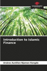 bokomslag Introduction to Islamic Finance