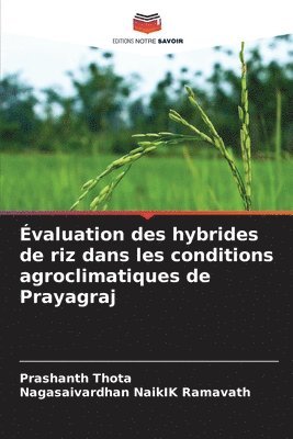 valuation des hybrides de riz dans les conditions agroclimatiques de Prayagraj 1