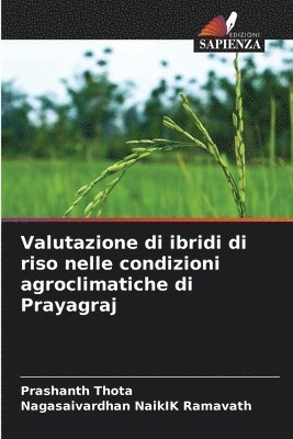 bokomslag Valutazione di ibridi di riso nelle condizioni agroclimatiche di Prayagraj