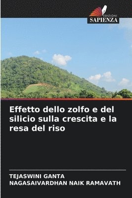 Effetto dello zolfo e del silicio sulla crescita e la resa del riso 1