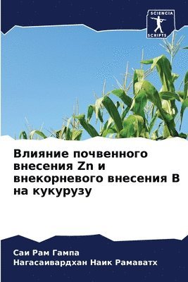 &#1042;&#1083;&#1080;&#1103;&#1085;&#1080;&#1077; &#1087;&#1086;&#1095;&#1074;&#1077;&#1085;&#1085;&#1086;&#1075;&#1086; &#1074;&#1085;&#1077;&#1089;&#1077;&#1085;&#1080;&#1103; Zn &#1080; 1