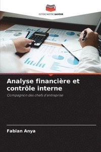 bokomslag Analyse financire et contrle interne