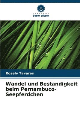 bokomslag Wandel und Bestndigkeit beim Pernambuco-Seepferdchen