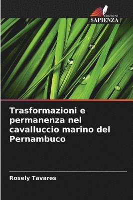 bokomslag Trasformazioni e permanenza nel cavalluccio marino del Pernambuco