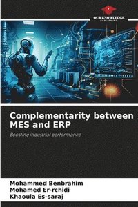 bokomslag Complementarity between MES and ERP