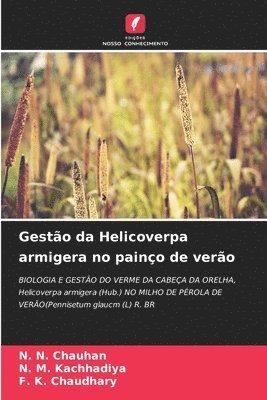 Gesto da Helicoverpa armigera no paino de vero 1