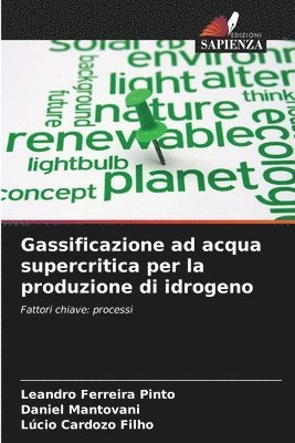 bokomslag Gassificazione ad acqua supercritica per la produzione di idrogeno