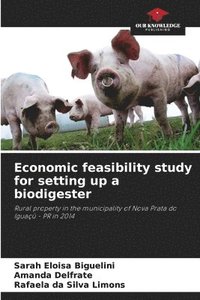 bokomslag Economic feasibility study for setting up a biodigester