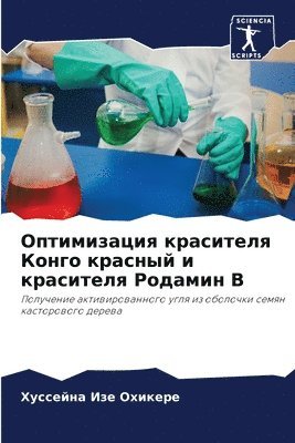 bokomslag &#1054;&#1087;&#1090;&#1080;&#1084;&#1080;&#1079;&#1072;&#1094;&#1080;&#1103; &#1082;&#1088;&#1072;&#1089;&#1080;&#1090;&#1077;&#1083;&#1103; &#1050;&#1086;&#1085;&#1075;&#1086;