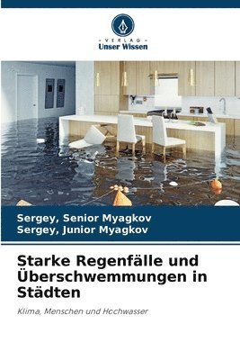 Starke Regenflle und berschwemmungen in Stdten 1