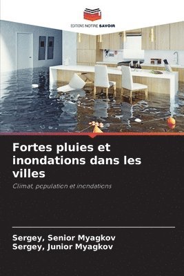 bokomslag Fortes pluies et inondations dans les villes