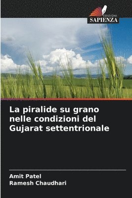 bokomslag La piralide su grano nelle condizioni del Gujarat settentrionale