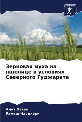 &#1047;&#1077;&#1088;&#1085;&#1086;&#1074;&#1072;&#1103; &#1084;&#1091;&#1093;&#1072; &#1085;&#1072; &#1087;&#1096;&#1077;&#1085;&#1080;&#1094;&#1077; &#1074; 1