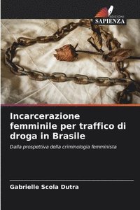 bokomslag Incarcerazione femminile per traffico di droga in Brasile