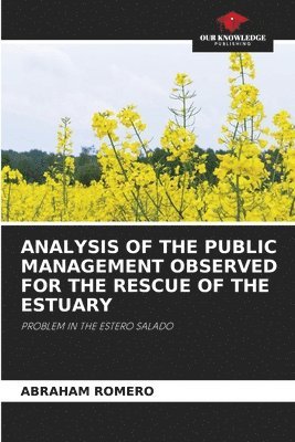 Analysis of the Public Management Observed for the Rescue of the Estuary 1