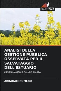 bokomslag Analisi Della Gestione Pubblica Osservata Per Il Salvataggio Dell'estuario