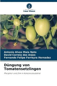 bokomslag Dngung von Tomatensetzlingen