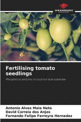 Fertilising tomato seedlings 1